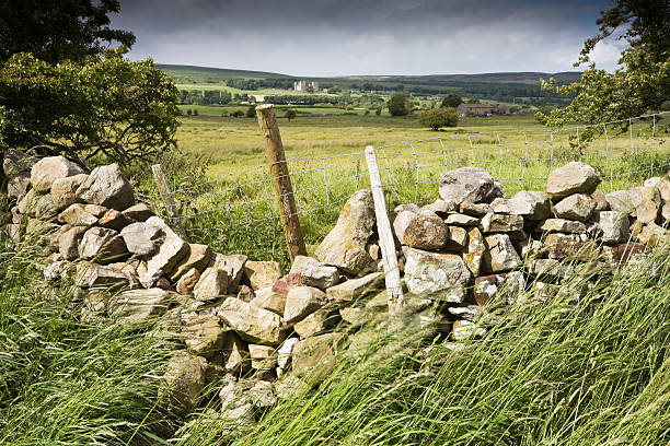 istock Wensleydale Landscape in Yorkshire 176007545