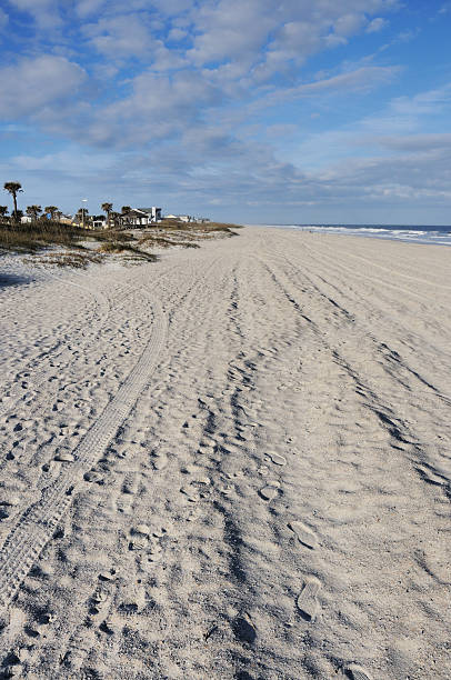 Fernandina Beach Amelia Island Florida Please click my private lightbox links below for more images like this -- Thanks!The Main Beach in Fernandina Beach on Amelia Island Florida. fernandina beach stock pictures, royalty-free photos & images