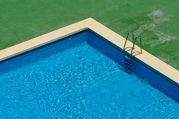 istock Corner of a swimming pool 176007966
