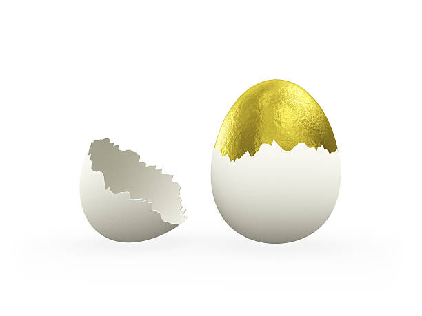Golden Egg stock photo