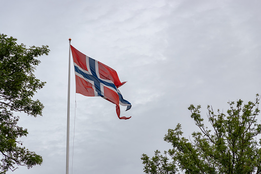 A picture of the Norwegian flag.