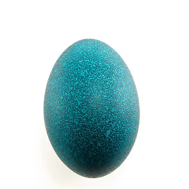 An Emu egg isolated on white.