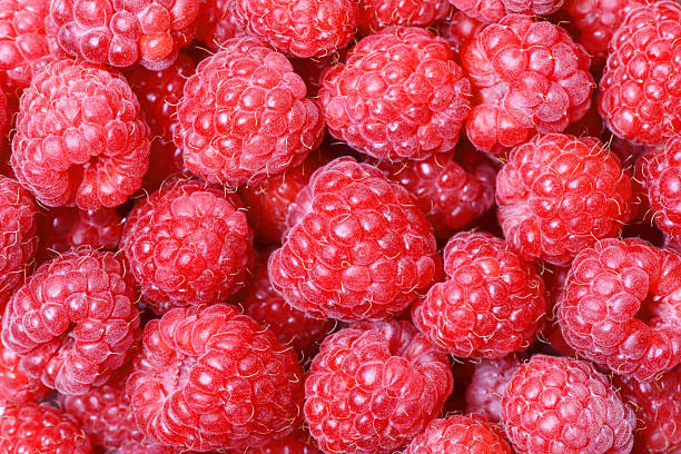 Red Raspberries Macro