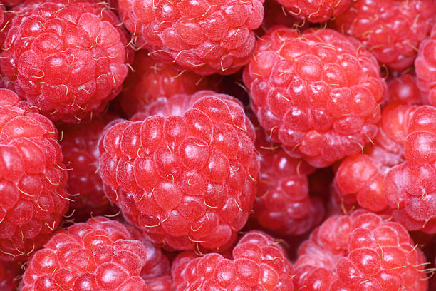 Red Raspberries Macro