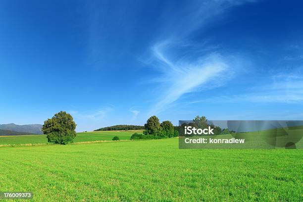 Photo libre de droit de Paysage Vert banque d'images et plus d'images libres de droit de Agriculture - Agriculture, Blanc, Bleu