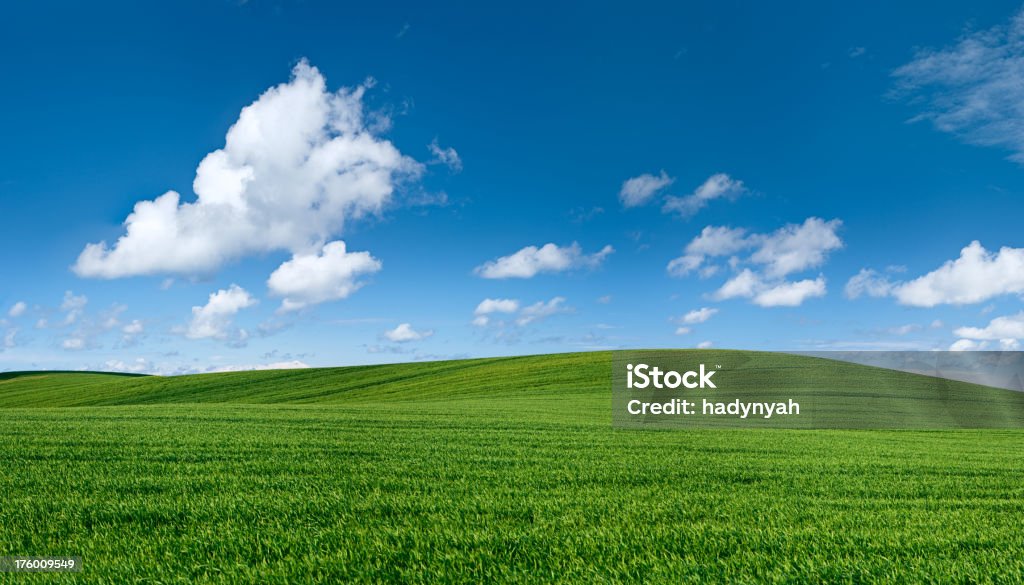 Panoramic spring landscape 62MPix XXXXL - meadow, blue sky [b]Spring landscape - meadow, the blue sky - 62MPix, XXXXL size
 This panoramic landscape is an very high resolution multi-frame composite and is suitable for large scale printing.[/b]

[b]55 MPix Spring Panorama[/b]  [b]175 MPix Spring Panorama [/b] 
[url=/file_closeup.php?id=6350358][img]/file_thumbview_approve.php?size=3&id=6350358[/img][/url] [url=/file_closeup.php?id=6958186][img]/file_thumbview_approve.php?size=3&id=6958186[/img][/url]
[b]108 MPix Spring Panorama[/b]    [b]79 MPix Spring Panorama [/b]
[url=/file_closeup.php?id=6364228][img]/file_thumbview_approve.php?size=3&id=6364228[/img][/url] [url=/file_closeup.php?id=6940797][img]/file_thumbview_approve.php?size=3&id=6940797[/img][/url]

[b]98 & 94 MPix Spring Panoramas[/b]
[url=/file_closeup.php?id=7838506][img]/file_thumbview_approve.php?size=3&id=7838506[/img][/url] [url=/file_closeup.php?id=7836891][img]/file_thumbview_approve.php?size=3&id=7836891[/img][/url]

[b]More XXXXL SPRING PANORAMAS in LIGHTBOX:[/b]
[url=http://www.istockphoto.com/search/lightbox/5288347]
[img]http://bhphoto.pl/IS/panoramas_380.jpg[/img][/url]

[url=http://www.istockphoto.com/search/lightbox/6216820]
[img]http://bhphoto.pl/IS/square_380.jpg[/img][/url]

[b] XXXL BLUE SKY PANORAMAS [/b]
[url=http://www.istockphoto.com/search/lightbox/5434517]
[img]http://bhphoto.pl/IS/sky_380.jpg[/img][/url]

[url=http://www.istockphoto.com/search/lightbox/5779032]
[img]http://bhphoto.pl/IS/snorkeling_380.jpg[/img][/url]

[url=http://www.istockphoto.com/search/lightbox/5908303]
[img]http://bhphoto.pl/IS/paintball_380.jpg[/img][/url]

[url=http://www.istockphoto.com/search/lightbox/5460418]
[img]http://bhphoto.pl/IS/monks_380.jpg[/img][/url]

[url=http://www.istockphoto.com/search/lightbox/5288409]
[img]http://bhphoto.pl/IS/speed_380.jpg[/img][/url] White Color Stock Photo