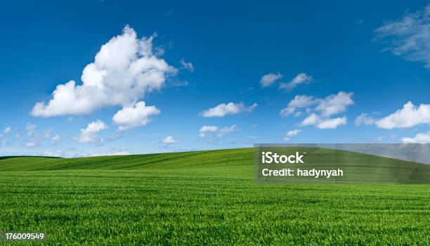 Panoramic Spring Landscape 62mpix Xxxxl Meadow Blue Sky Stock Photo - Download Image Now