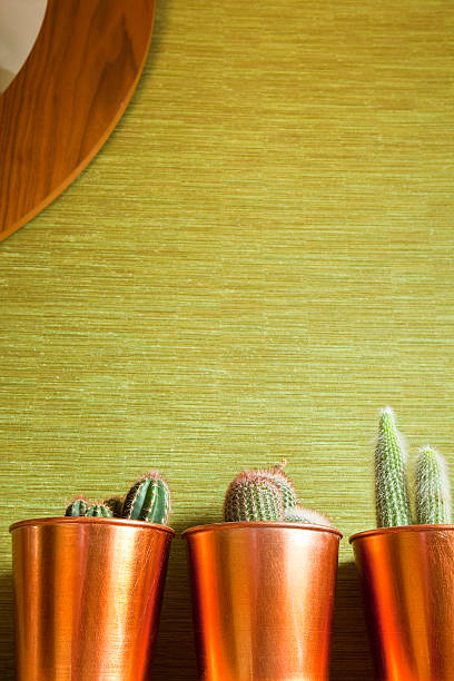 istock Modern contemporary interior wall with copper flower pots 176009664