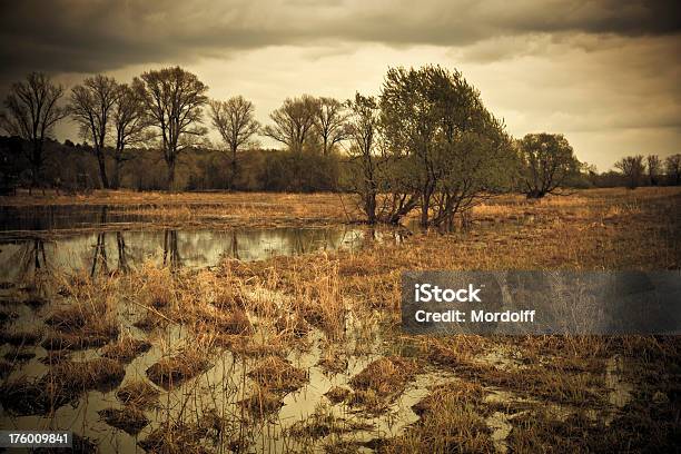 Wetland With Dramatic Cloudscape Stock Photo - Download Image Now - Abandoned, Animal Wildlife, Backgrounds