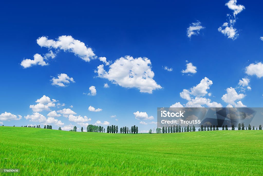 Idyll - Green fields blue sky and white clouds Green fields blue sky and white clouds - Idyll Agricultural Field Stock Photo