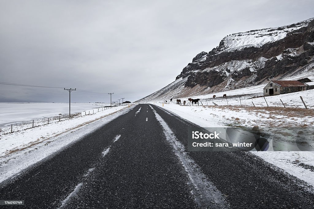 Road auf und bedeckter Tag in Island im winter - Lizenzfrei Abgeschiedenheit Stock-Foto