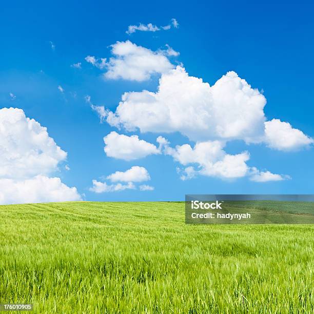 Piazza Paesaggio Di Primavera 35mpix Xxxxlcielo Azzurro Prato - Fotografie stock e altre immagini di Agricoltura