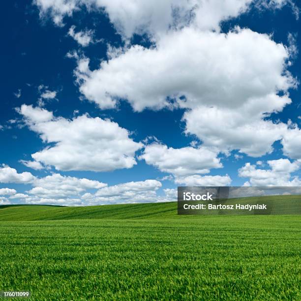 Piazza Paesaggio Di Primavera 75mpix Xxxxlcielo Azzurro Prato - Fotografie stock e altre immagini di Agricoltura