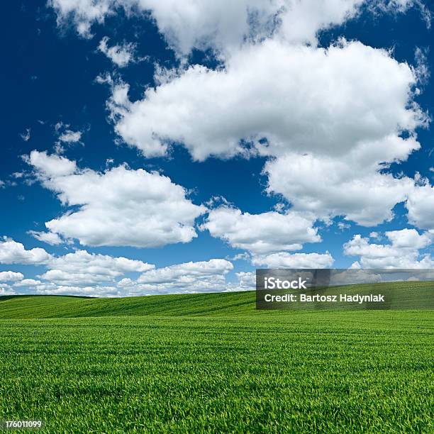 Plac 75mpix Xxxxl Wiosnę Krajobrazłąka Blue Sky - zdjęcia stockowe i więcej obrazów Bez ludzi - Bez ludzi, Biały, Chmura