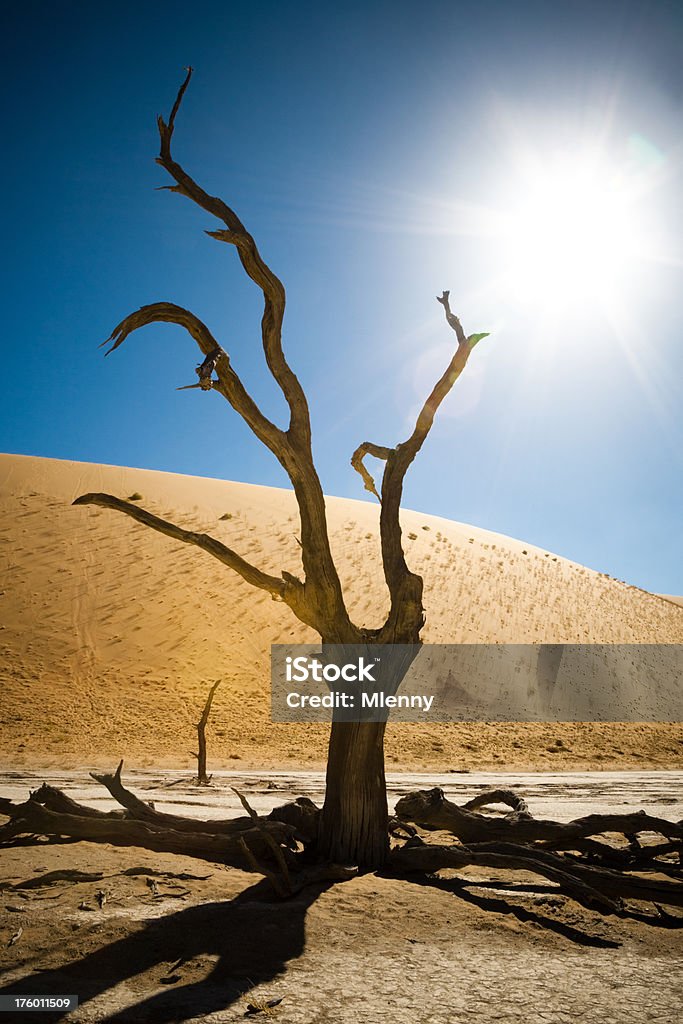 Paesaggio africano surreale Namibia - Foto stock royalty-free di Abbandonato