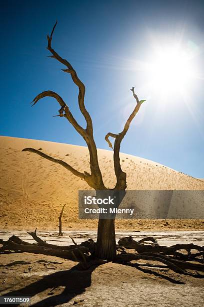 Paesaggio Africano Surreale Namibia - Fotografie stock e altre immagini di Abbandonato - Abbandonato, Africa, Albero