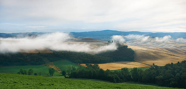 istock fields of gold - Tuscany view 176011835