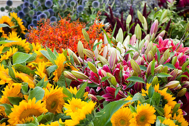 Fresh Flowers at a Farmers Market, Seattle Fresh flowers at a Farmers Street Market in the city. flower market stock pictures, royalty-free photos & images