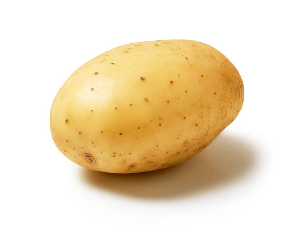 single-kartoffel - raw potato isolated vegetable white stock-fotos und bilder