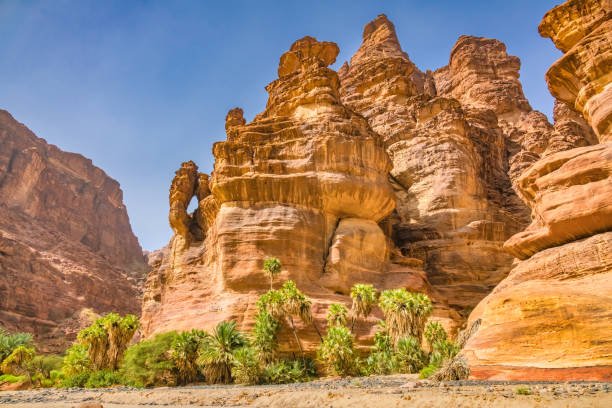 istock Wadi Al Disah Saudi Arabia valley 1760126406