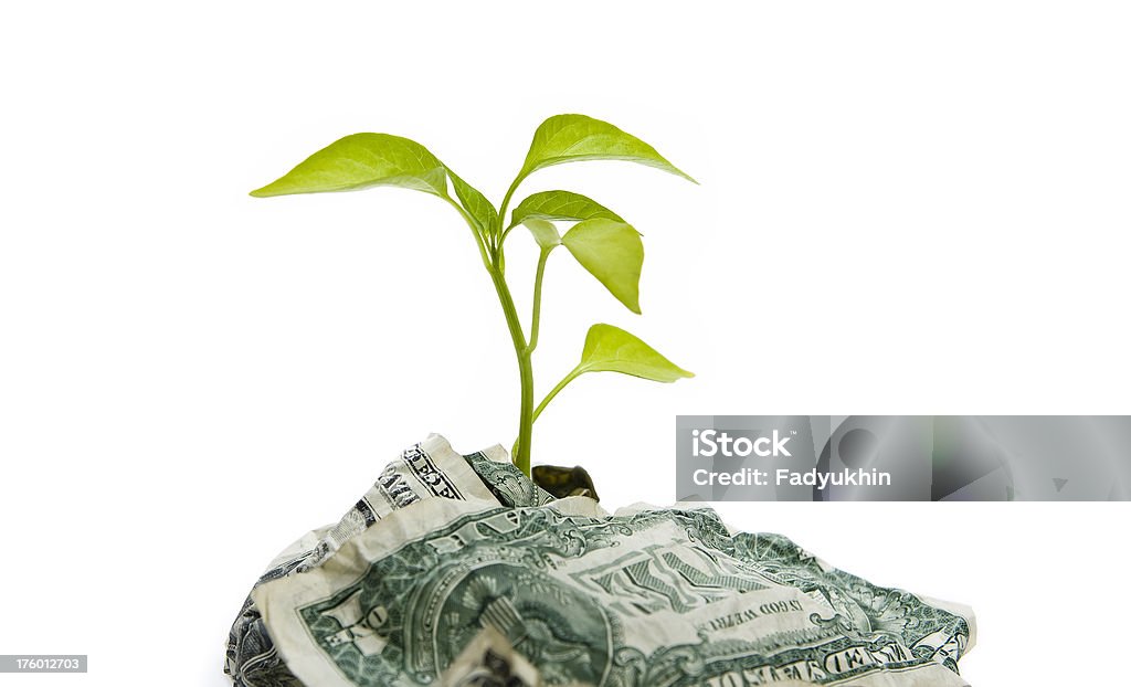 Dinheiro - Foto de stock de Agricultura royalty-free