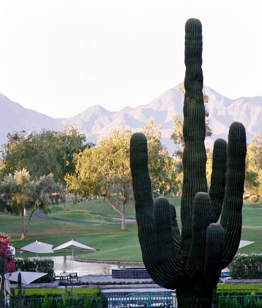 istock Arizona Vista 176012888