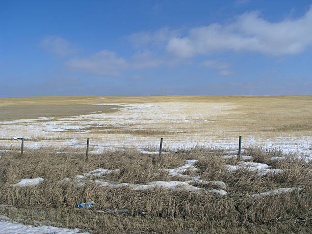 neve prairie - alberta prairie farm fence - fotografias e filmes do acervo