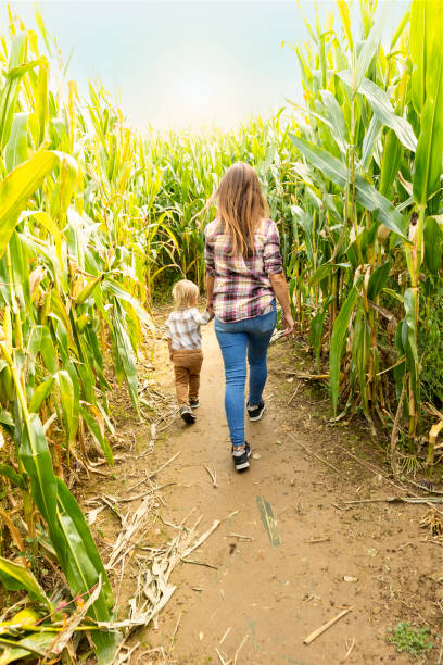istock Mother and Toddler Son Walking Through Corn Maze 1760133434
