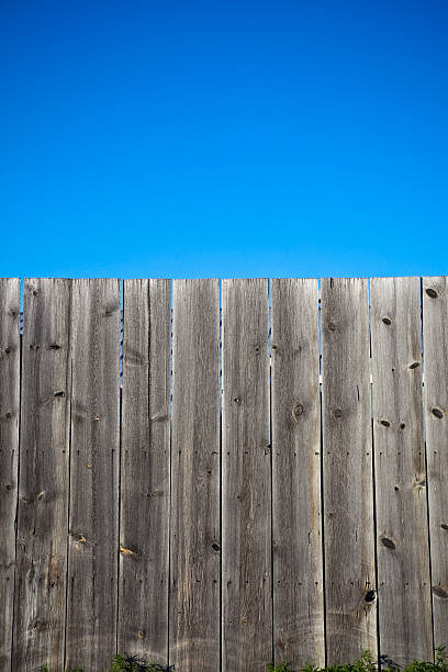 White picket fence and beautiful cloud filled sky punctuated with sunflowers