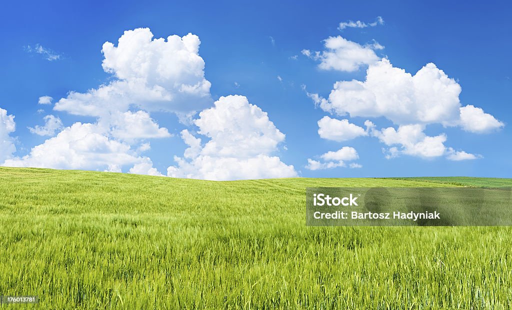 Spring Panorama-Landschaft 73MPix XXXXL-rye, dem blauen Himmel - Lizenzfrei Abgeschiedenheit Stock-Foto