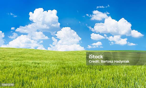 Spring Panoramalandschaft 73mpix Xxxxlrye Dem Blauen Himmel Stockfoto und mehr Bilder von Abgeschiedenheit