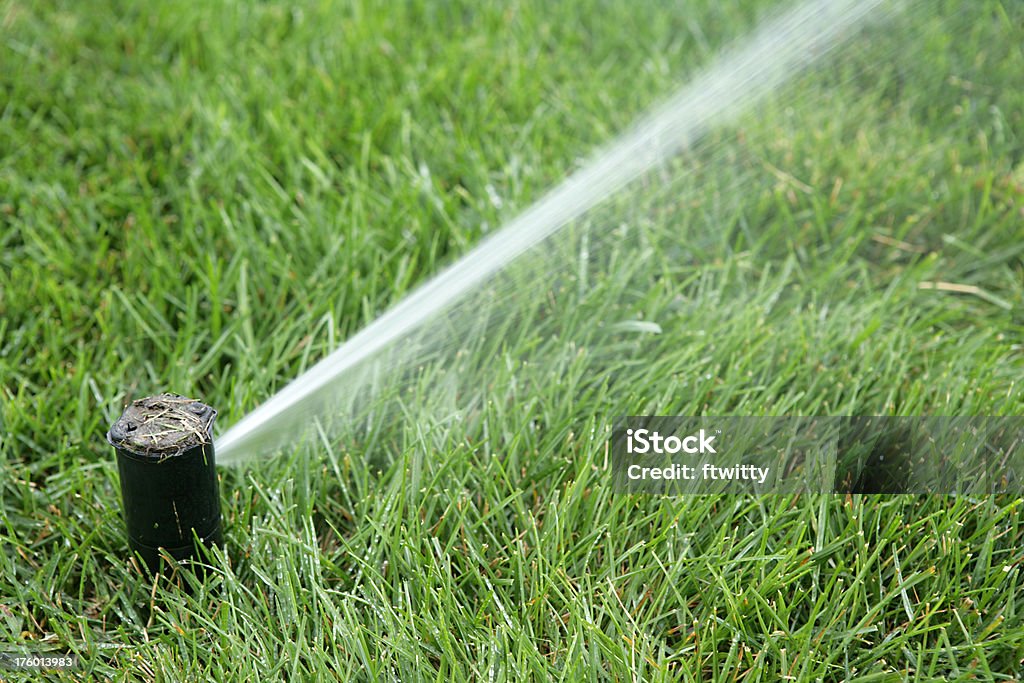 Para aspersores - Foto de stock de Agua libre de derechos