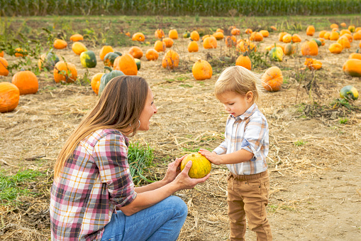 A two year old boy touches the small pumpkin that his mother holds out for him.