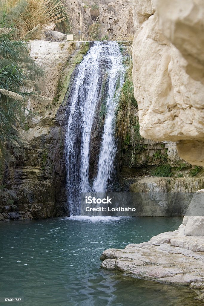 Falls no Ein Gedi - Foto de stock de Deserto royalty-free