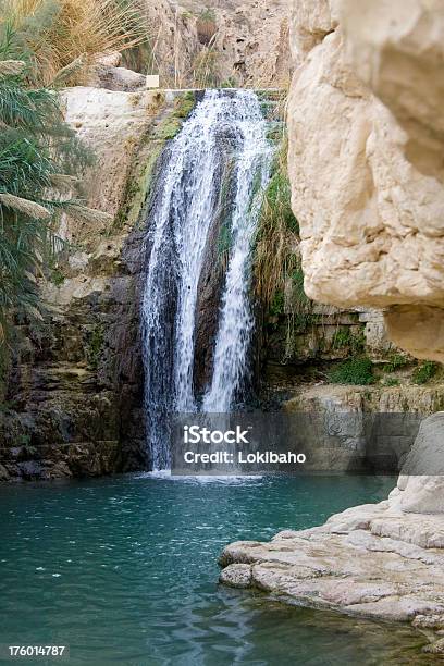 Foto de Falls No Ein Gedi e mais fotos de stock de Deserto - Deserto, Ein Gedi, Riacho