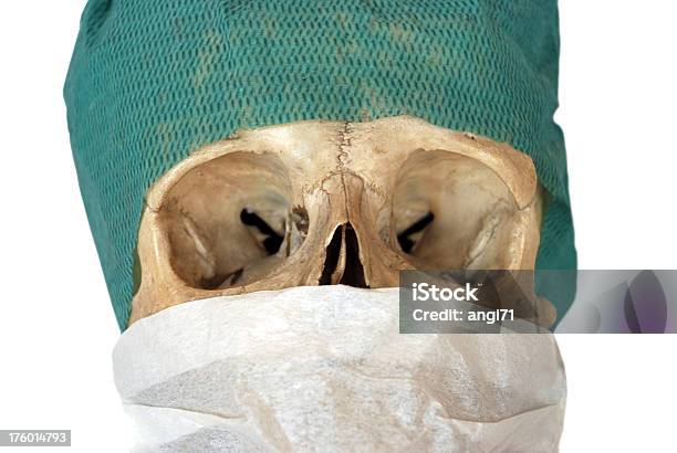 Schädel Stockfoto und mehr Bilder von Anatomie - Anatomie, Arzt, Augenhöhle