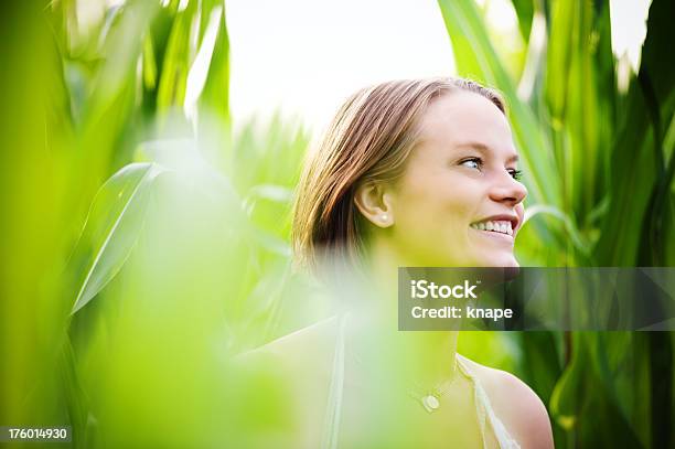 Schöne Frau In Einem Cornfield Stockfoto und mehr Bilder von 20-24 Jahre - 20-24 Jahre, 25-29 Jahre, Abenddämmerung