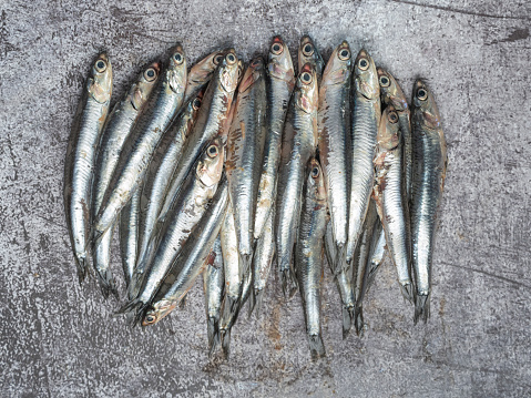 Fresh anchovies