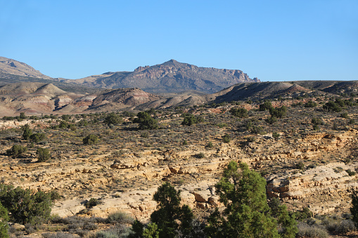 The horizon is 7708ft Hogback of the Cocks Comb with white sandstone, junipers, and pinyon pines in the Henry Mountains of Utah.