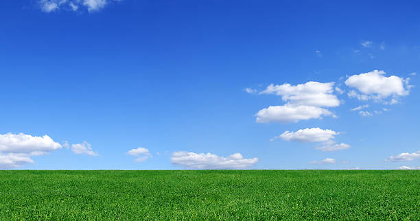 istock Idyllic landscape - Green field and the blue sky 176015705