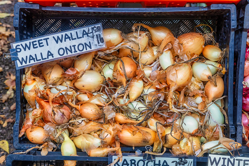 onions at the farmer's market