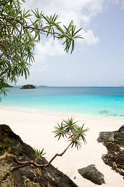 istock Cinnamon Bay, St. John, USVI - Caribbean beach view 176016011