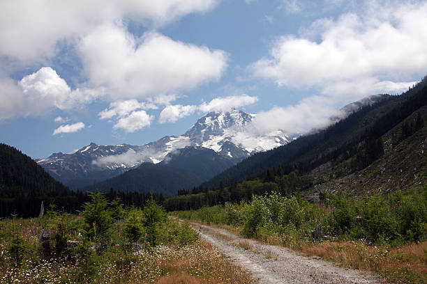 istock Dirt Road and Mt. Rainier 176016282
