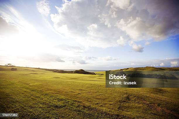 Bellissima Campagna Inglese - Fotografie stock e altre immagini di Norfolk - East Anglia - Norfolk - East Anglia, Collina, Ambientazione esterna