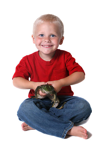 Niño que toma de la rana toro sentado y sonriendo mientras - foto de stock