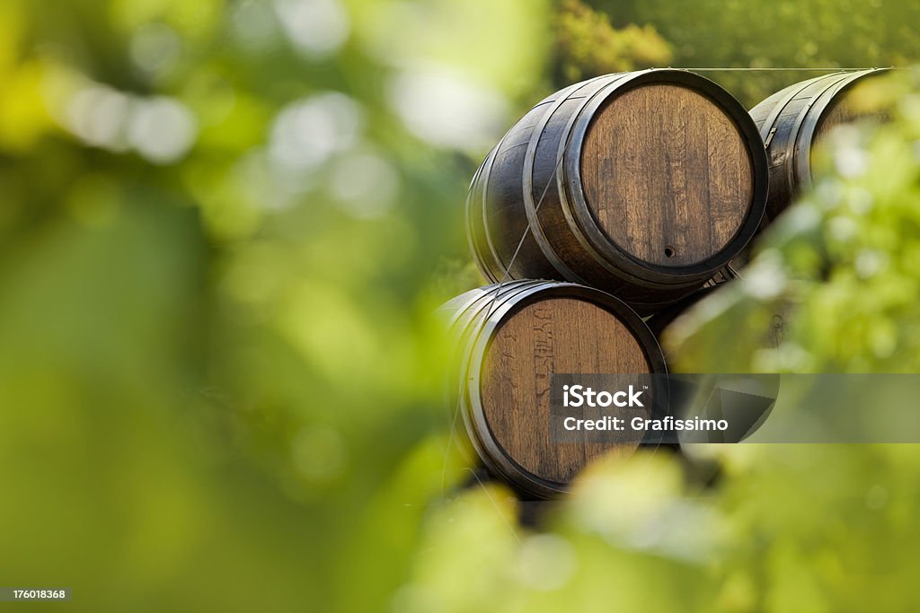 緑のブドウ園でのワイン樽 - つる草のロイヤリティフリーストックフォト