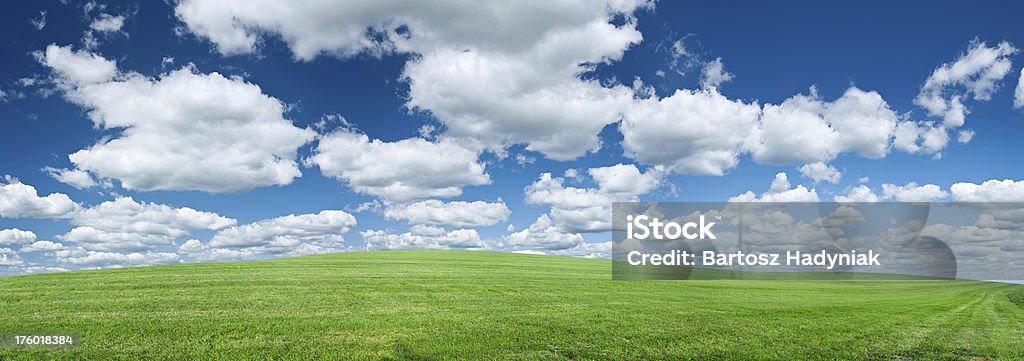 Panoramiczne 63MPix XXXXL wiosnę Krajobraz-Łąka, blue sky - Zbiór zdjęć royalty-free (Bez ludzi)