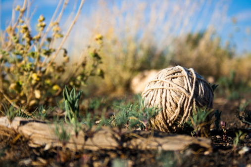 A sun bleached ball of yarn found in the outskirts of Flagstaff Arizona.  Look at more