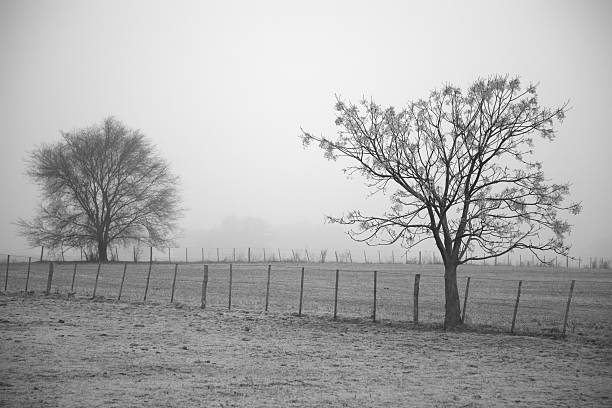 istock Black and white countryside landscape 176018703