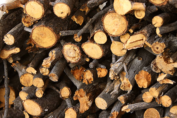 Wood Pile stock photo